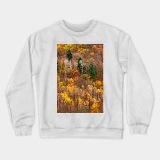 Autumn on Pieria mountains Crewneck Sweatshirt